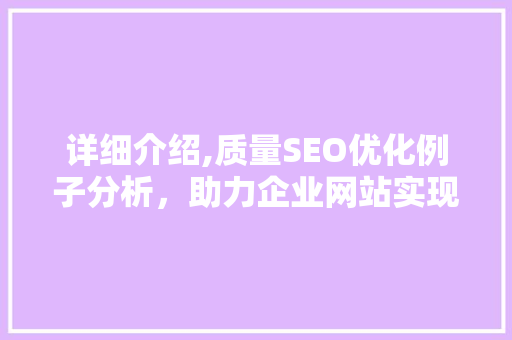 详细介绍,质量SEO优化例子分析，助力企业网站实现排名飞跃