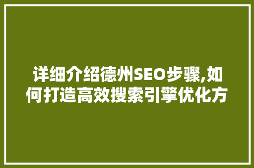 详细介绍德州SEO步骤,如何打造高效搜索引擎优化方法  第1张