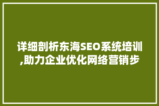 详细剖析东海SEO系统培训,助力企业优化网络营销步骤