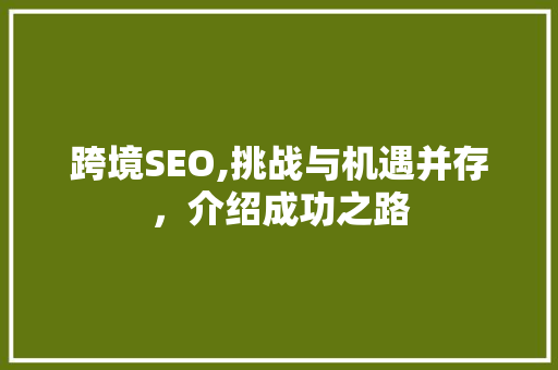 跨境SEO,挑战与机遇并存，介绍成功之路