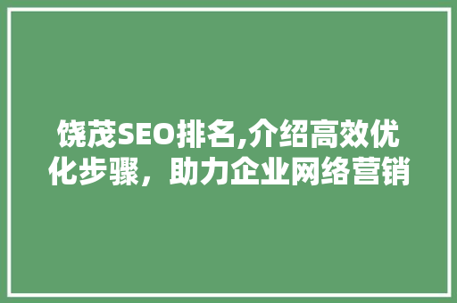 饶茂SEO排名,介绍高效优化步骤，助力企业网络营销