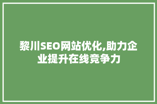 黎川SEO网站优化,助力企业提升在线竞争力
