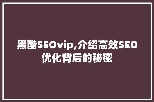 黑酷SEOvip,介绍高效SEO优化背后的秘密