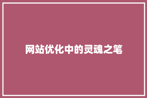 网站优化中的灵魂之笔