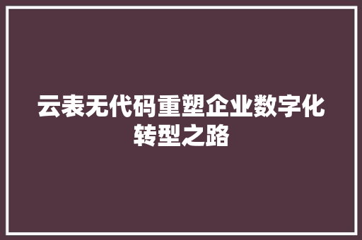云表无代码重塑企业数字化转型之路