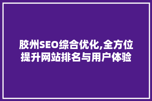 胶州SEO综合优化,全方位提升网站排名与用户体验