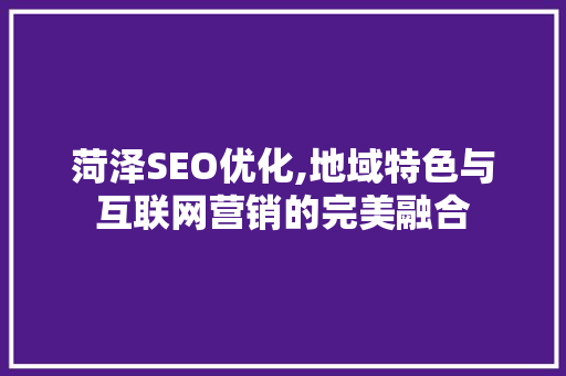菏泽SEO优化,地域特色与互联网营销的完美融合