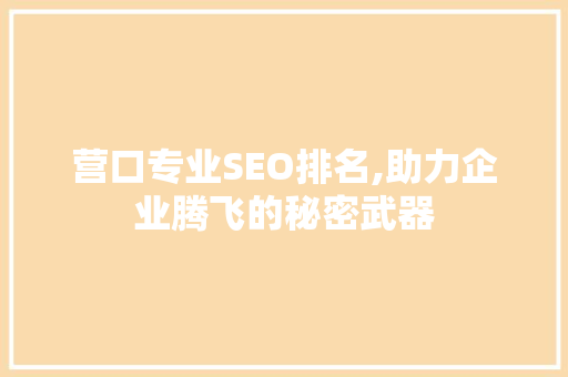 营口专业SEO排名,助力企业腾飞的秘密武器