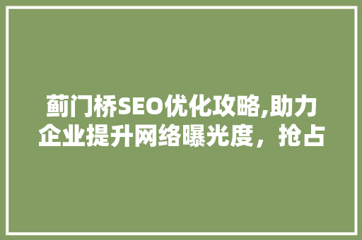 蓟门桥SEO优化攻略,助力企业提升网络曝光度，抢占市场先机