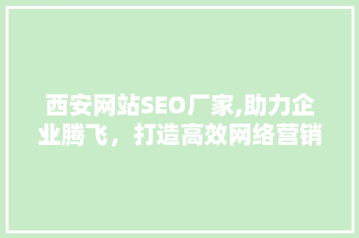 西安网站SEO厂家,助力企业腾飞，打造高效网络营销步骤