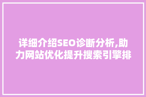 详细介绍SEO诊断分析,助力网站优化提升搜索引擎排名