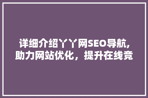 详细介绍丫丫网SEO导航,助力网站优化，提升在线竞争力