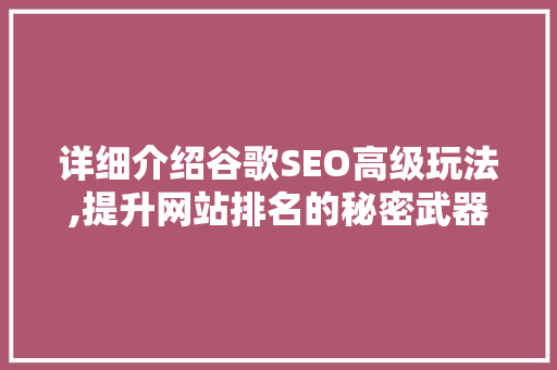 详细介绍谷歌SEO高级玩法,提升网站排名的秘密武器