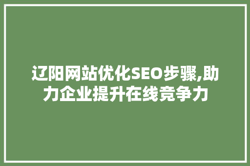 辽阳网站优化SEO步骤,助力企业提升在线竞争力