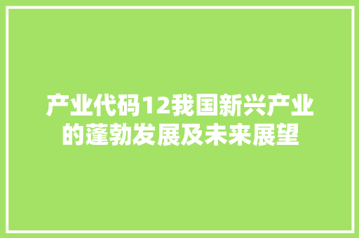 产业代码12我国新兴产业的蓬勃发展及未来展望