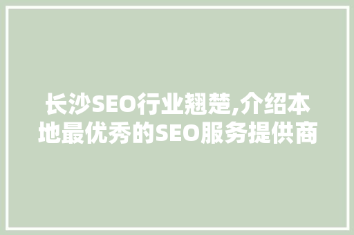 长沙SEO行业翘楚,介绍本地最优秀的SEO服务提供商
