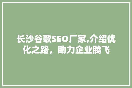 长沙谷歌SEO厂家,介绍优化之路，助力企业腾飞