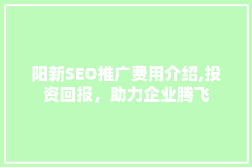 阳新SEO推广费用介绍,投资回报，助力企业腾飞
