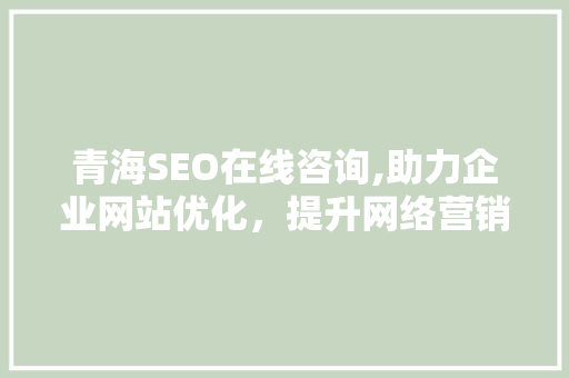 青海SEO在线咨询,助力企业网站优化，提升网络营销效果