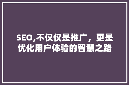 SEO,不仅仅是推广，更是优化用户体验的智慧之路