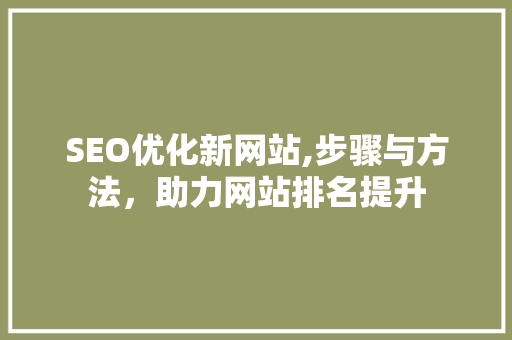 SEO优化新网站,步骤与方法，助力网站排名提升