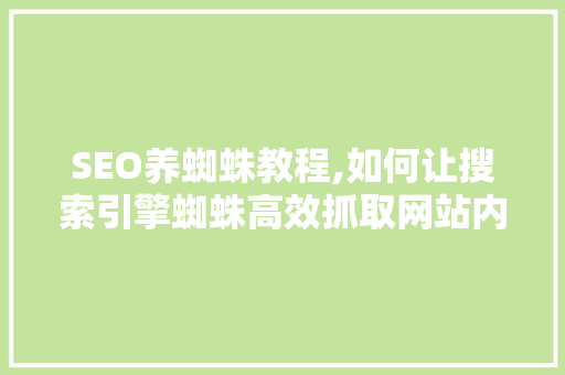 SEO养蜘蛛教程,如何让搜索引擎蜘蛛高效抓取网站内容