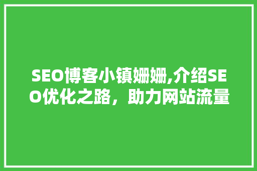 SEO博客小镇姗姗,介绍SEO优化之路，助力网站流量飙升