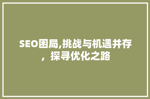 SEO困局,挑战与机遇并存，探寻优化之路