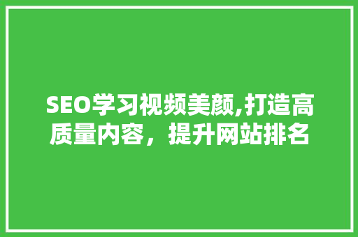 SEO学习视频美颜,打造高质量内容，提升网站排名