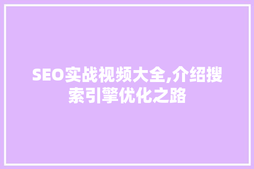 SEO实战视频大全,介绍搜索引擎优化之路
