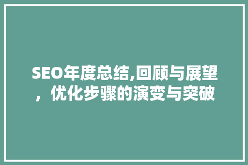 SEO年度总结,回顾与展望，优化步骤的演变与突破
