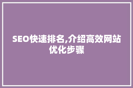 SEO快速排名,介绍高效网站优化步骤