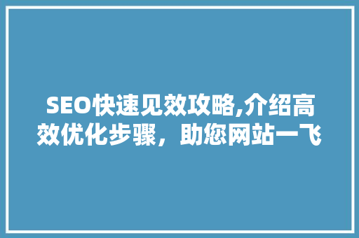 SEO快速见效攻略,介绍高效优化步骤，助您网站一飞冲天！