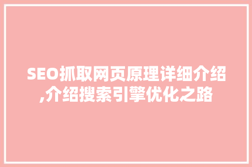 SEO抓取网页原理详细介绍,介绍搜索引擎优化之路