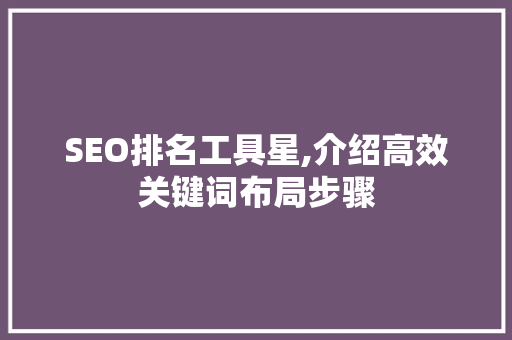 SEO排名工具星,介绍高效关键词布局步骤