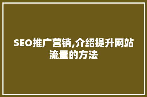 SEO推广营销,介绍提升网站流量的方法