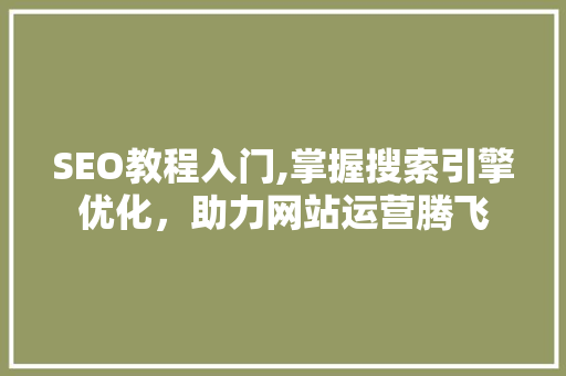 SEO教程入门,掌握搜索引擎优化，助力网站运营腾飞