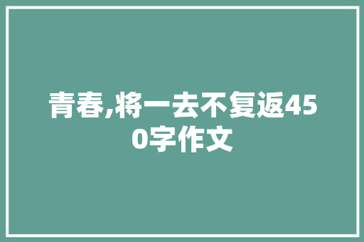 SEO综合实习报告,理论与方法相结合，助力企业提升网络竞争力
