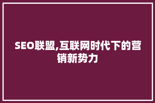 SEO联盟,互联网时代下的营销新势力
