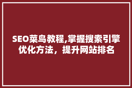 SEO菜鸟教程,掌握搜索引擎优化方法，提升网站排名