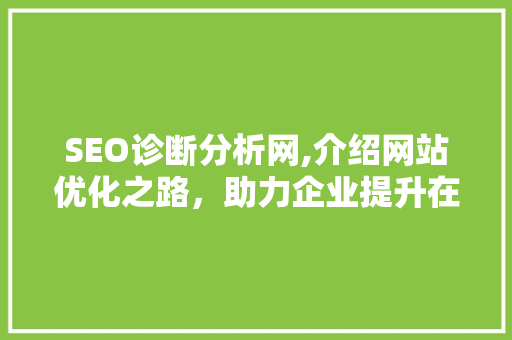 SEO诊断分析网,介绍网站优化之路，助力企业提升在线竞争力