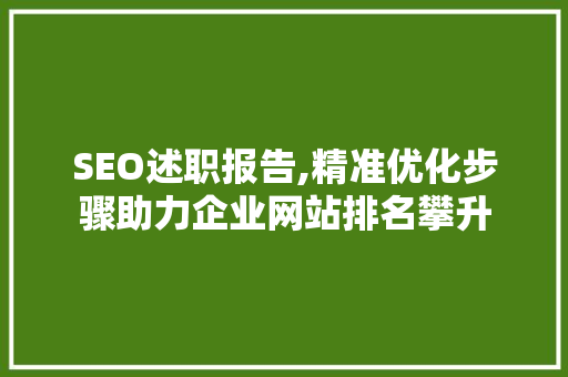 SEO述职报告,精准优化步骤助力企业网站排名攀升