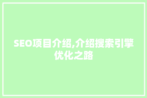 SEO项目介绍,介绍搜索引擎优化之路