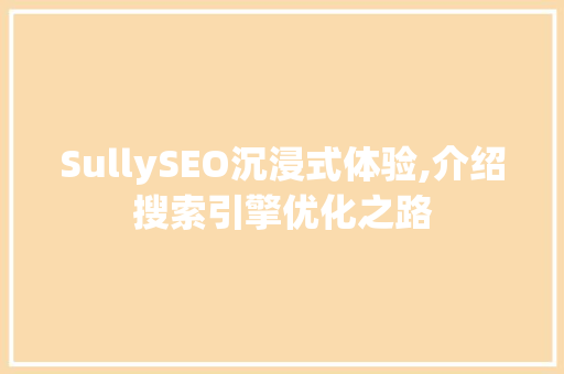 SullySEO沉浸式体验,介绍搜索引擎优化之路