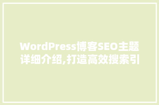 WordPress博客SEO主题详细介绍,打造高效搜索引擎优化步骤