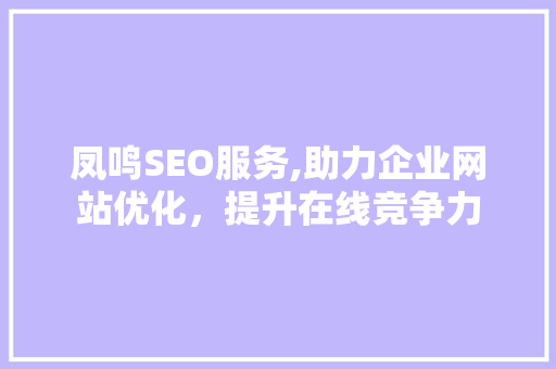 凤鸣SEO服务,助力企业网站优化，提升在线竞争力