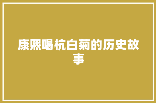 北京短视频SEO团队,助力短视频内容创作者实现流量爆发
