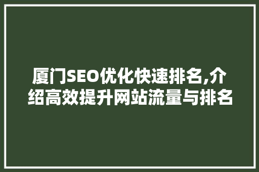 厦门SEO优化快速排名,介绍高效提升网站流量与排名的步骤