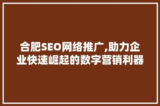 合肥SEO网络推广,助力企业快速崛起的数字营销利器