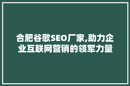 合肥谷歌SEO厂家,助力企业互联网营销的领军力量